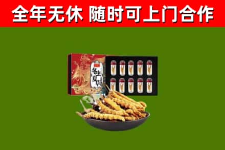 漳平市回收冬虫夏草价格