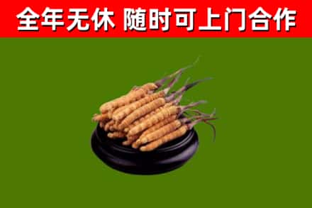 漳平市烟酒回收冬虫夏草.jpg